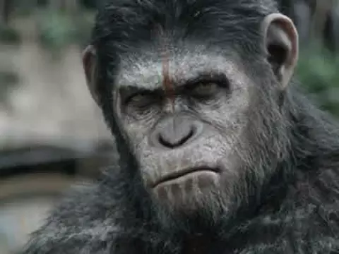 War Of The Planet of The Apes terá Steve Zahn no elenco