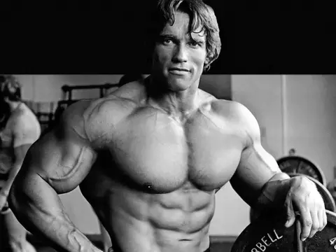Arnold Schwarzenegger produzirá uma série sobre seu passado como fisiculturista