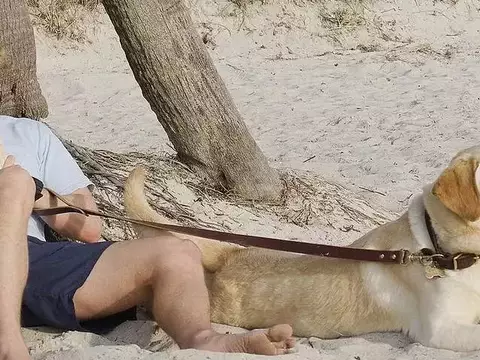 Sessão da Tarde: Qual Filme Passa na Globo nesta terça,12?