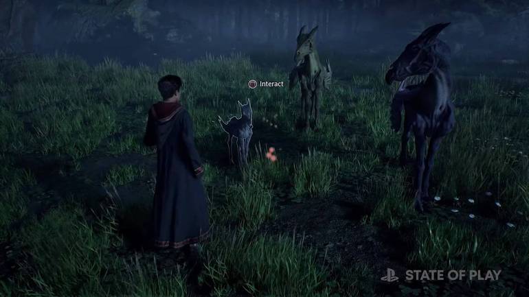 The Hogwarts Legacy cutscene shows the player encountering Thestrals