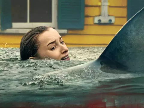 Embestida | ¿Por qué el tiburón blanco hace eso en la película?