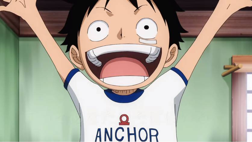 Anime de One Piece (Toei Animation/Reprodução)