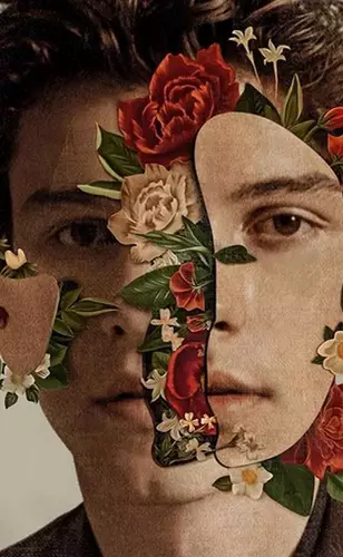 Shawn Mendes - The Album | Crítica
