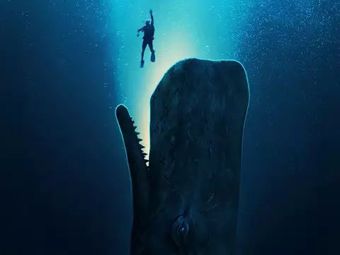 La caída de la ballena | ¿Tendrá secuela la película protagonizada por Austin Abrams?