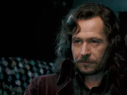 Gary Oldman como Sirius Black, em Harry Potter