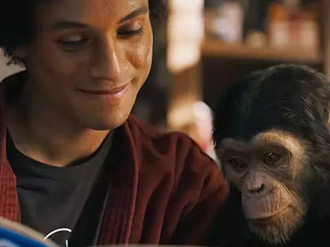 Michael | ¿Qué pasó con Bubbles, el chimpancé de Michael Jackson?