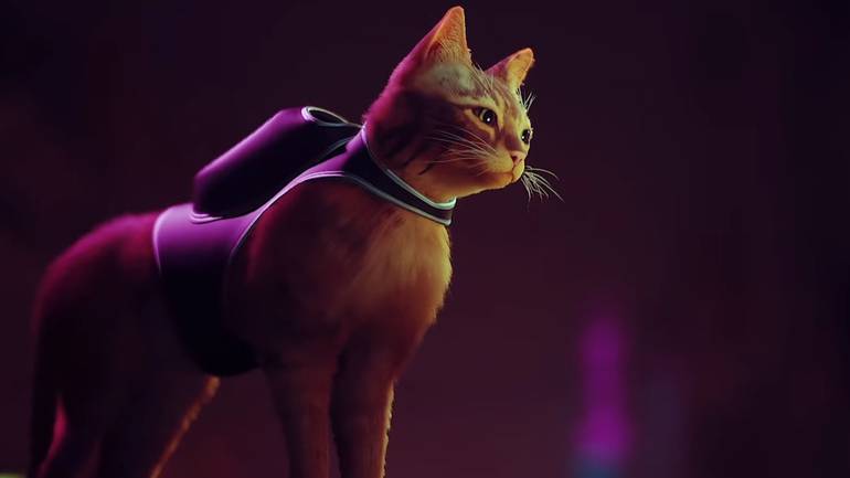 Cena do trailer de Stray mostra o gatinho laranja protagonista do jogo
