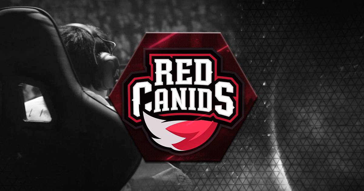 Como a Red Canids de 'Heroes of the Storm' segue pelos mesmos