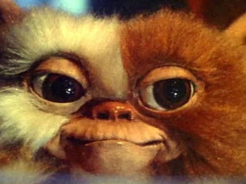 Gremlins | Ator diz que novo filme aguarda aprovação de Spielberg