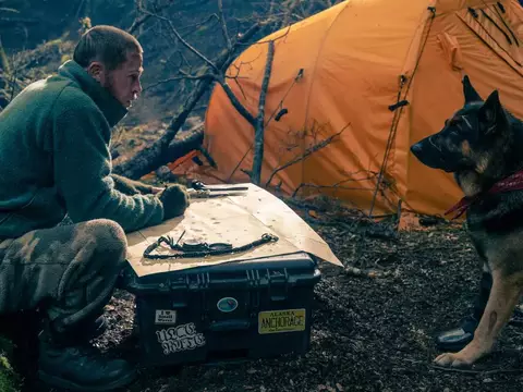 Coração Selvagem | Filme de cachorro com Brad Pitt ganha trailer