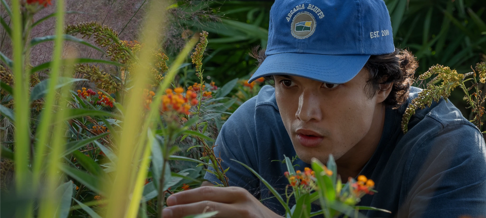 Nicolas Winding Refn Anuncia Novo Thriller com Charles Melton: 'Her Private Hell'