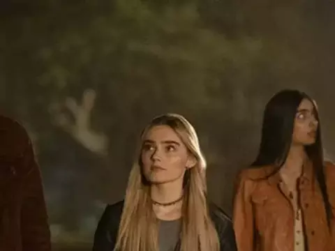 Divulgação