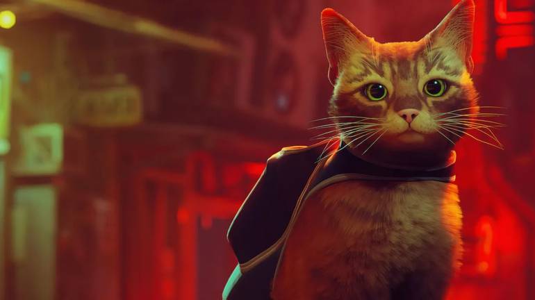 Conheça os gatos da vida real nos bastidores do jogo Stray
